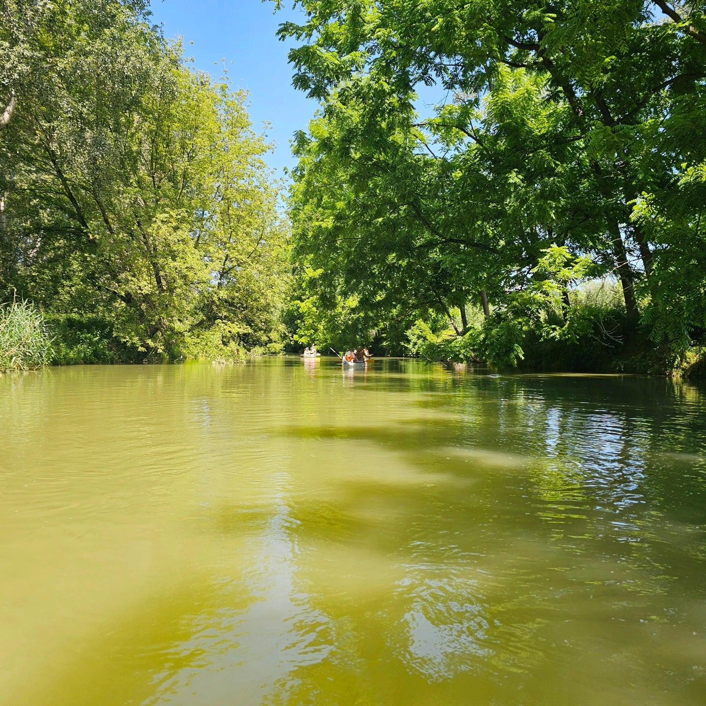 Szilfási ág - Félnapos vízitúra - MindigVízen