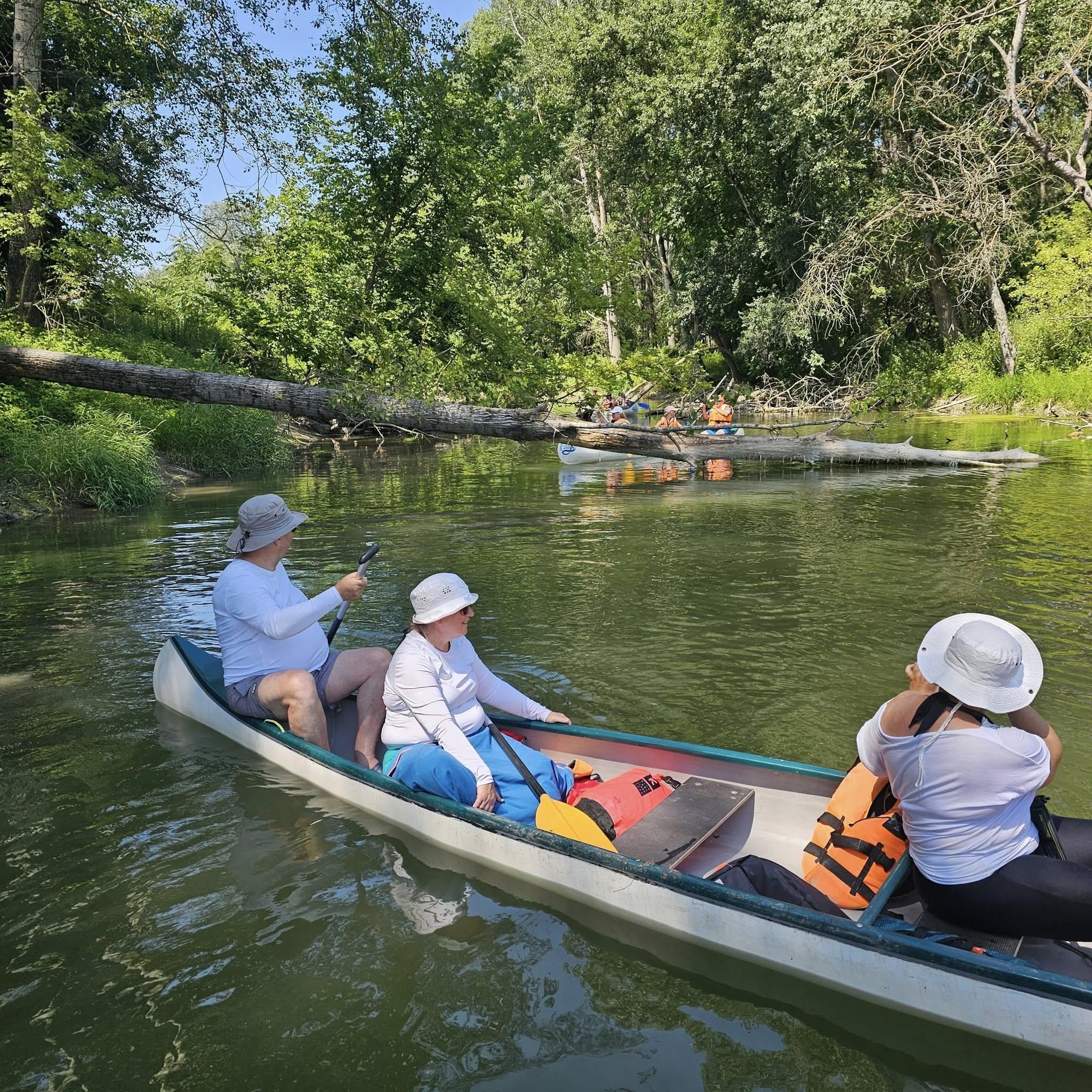 Szilfási ág - Félnapos vízitúra - MindigVízen