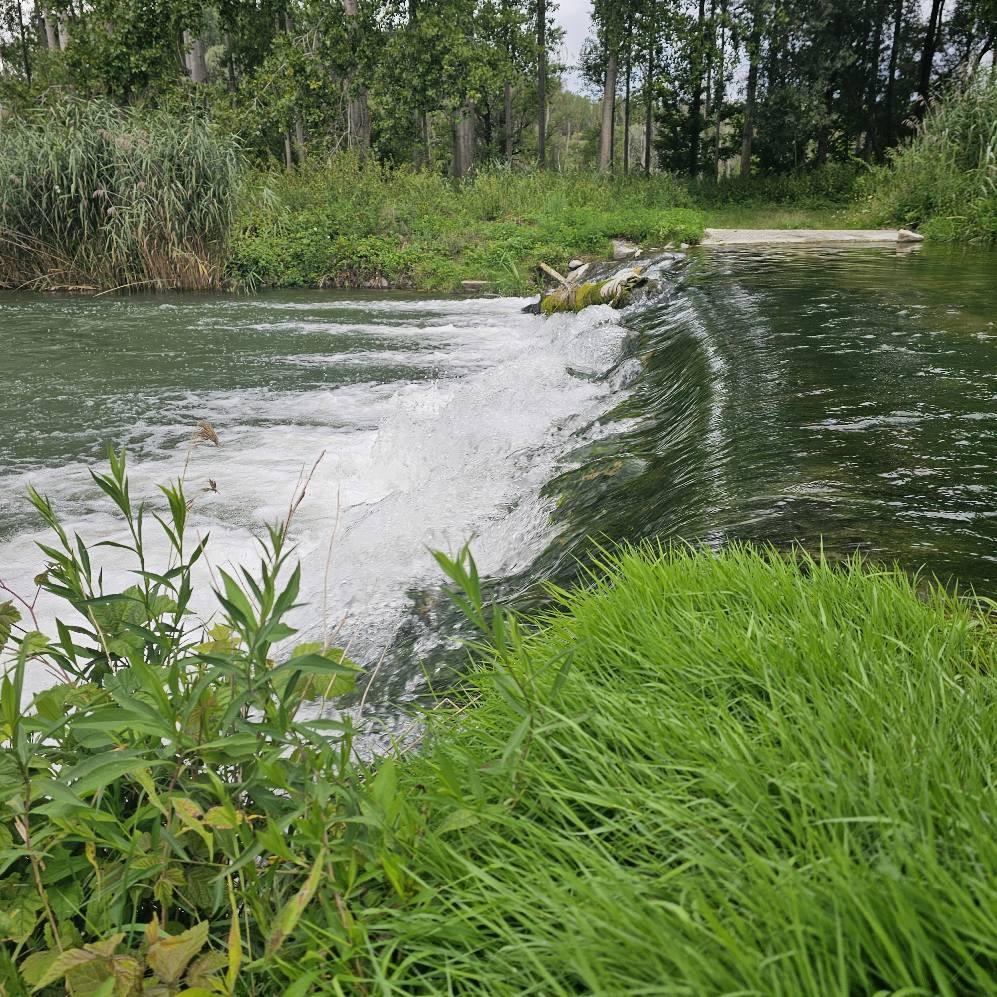 Rétisas - sziget kör - Egynapos túra - MindigVízen